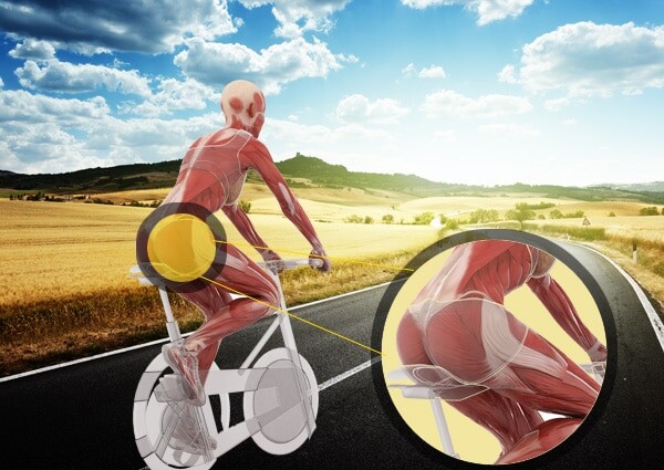 Effects of Cycling On Body Shape