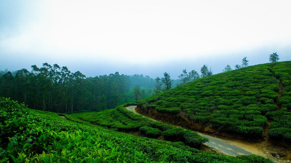 Best Cycling Routes In Kerala